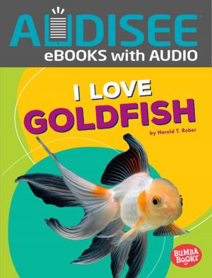 Cover of the book I Love Goldfish by Megan Atwood