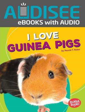Cover of the book I Love Guinea Pigs by Richard Reece