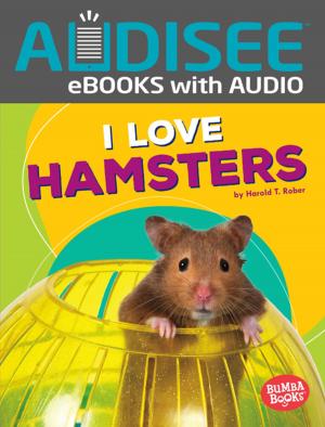 Cover of the book I Love Hamsters by Laurie Friedman