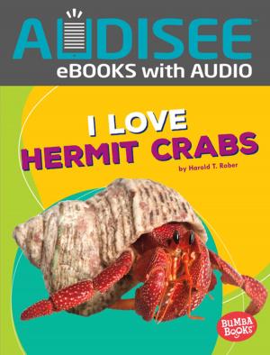 Cover of the book I Love Hermit Crabs by Jason Glaser