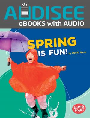 Cover of the book Spring Is Fun! by Brian P. Cleary