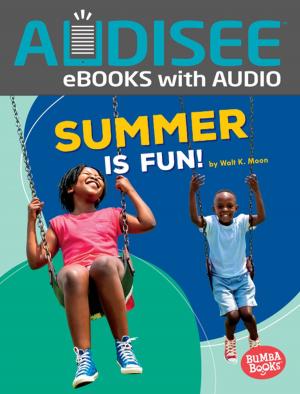 Cover of the book Summer Is Fun! by Kristen Lippert-Martin