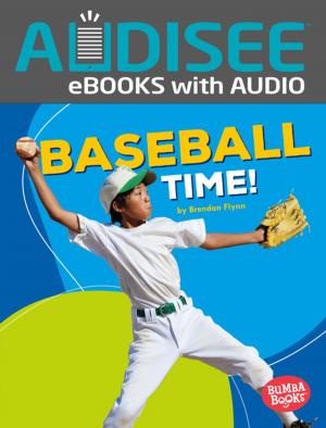 Cover of the book Baseball Time! by Mari Schuh