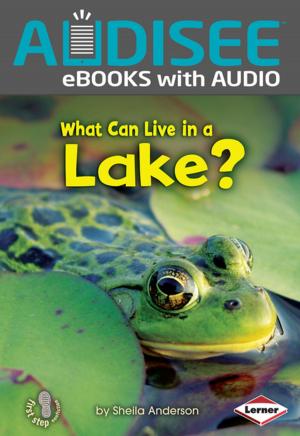 Cover of the book What Can Live in a Lake? by Norman Sherman