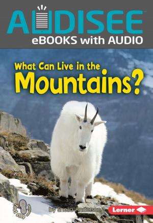 Cover of the book What Can Live in the Mountains? by Buffy Silverman