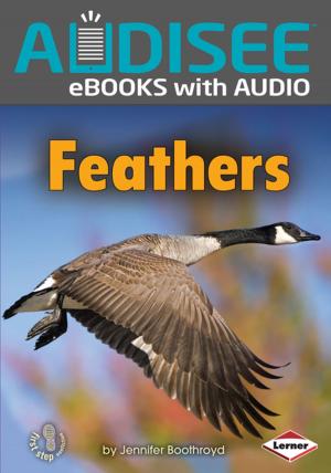 Cover of the book Feathers by Laura Hamilton Waxman