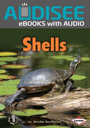 Cover of the book Shells by Jennifer Boothroyd