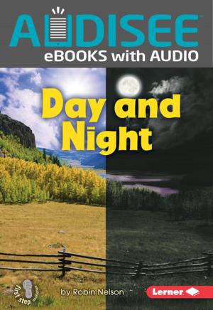 Cover of the book Day and Night by Carla Killough McClafferty