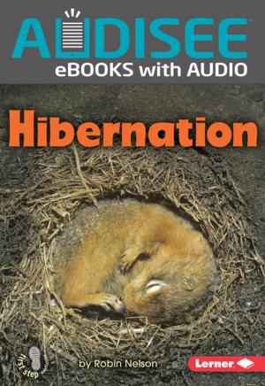 Cover of the book Hibernation by Lisa Bullard