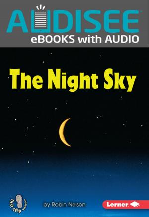 Book cover of The Night Sky