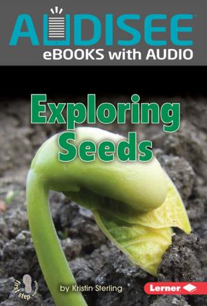 Cover of the book Exploring Seeds by Sarah Lynn Scheerger