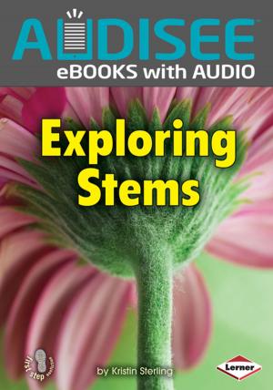Cover of the book Exploring Stems by Jennifer Elvgren