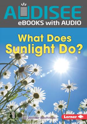 Cover of the book What Does Sunlight Do? by Elizabeth Atkinson