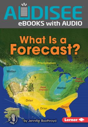 Cover of the book What Is a Forecast? by Diego Muzzio, Carlos Bulzomi