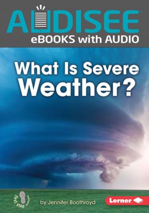 Cover of the book What Is Severe Weather? by Justine Fontes