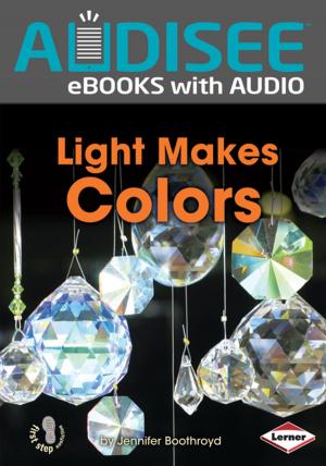Cover of the book Light Makes Colors by Elaine Marie Alphin