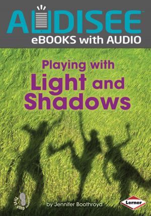 Cover of the book Playing with Light and Shadows by Lisa Bullard