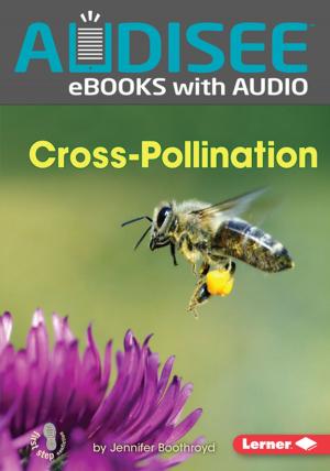 Cover of the book Cross-Pollination by Robin Nelson