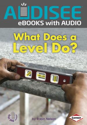 Cover of the book What Does a Level Do? by Robin Nelson