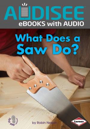 Cover of the book What Does a Saw Do? by Darice Bailer