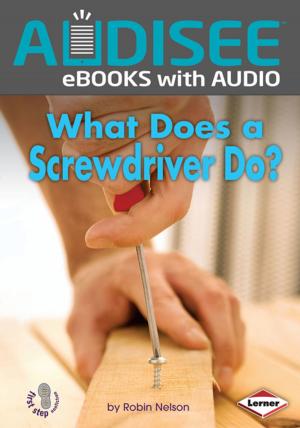 Cover of the book What Does a Screwdriver Do? by Lisa Bullard