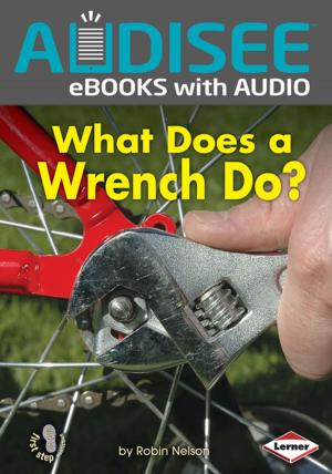 Cover of the book What Does a Wrench Do? by Patrick Jennings