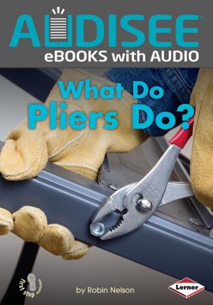 Cover of the book What Do Pliers Do? by Laura Barcella