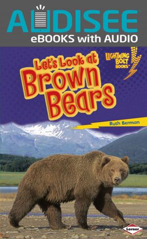 Cover of the book Let's Look at Brown Bears by Beth Bence Reinke