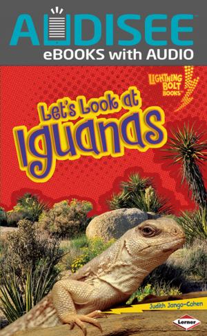 Cover of the book Let's Look at Iguanas by Jennifer Boothroyd
