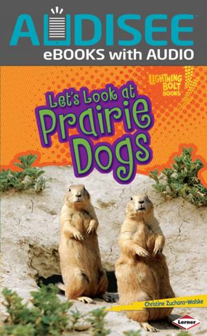 Cover of the book Let's Look at Prairie Dogs by Jeff Campbell