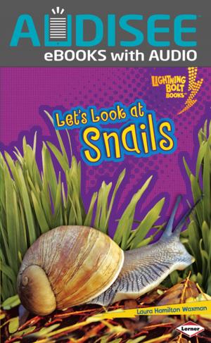 Cover of the book Let's Look at Snails by Walt K. Moon