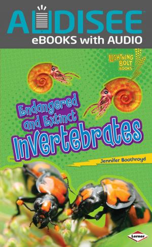 Cover of the book Endangered and Extinct Invertebrates by Gina Bellisario