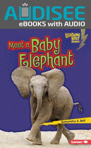 Cover of the book Meet a Baby Elephant by Sandra Markle