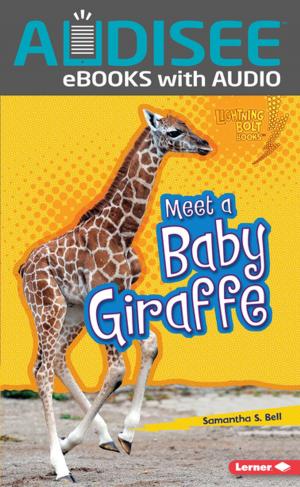 Cover of the book Meet a Baby Giraffe by Charnan Simon