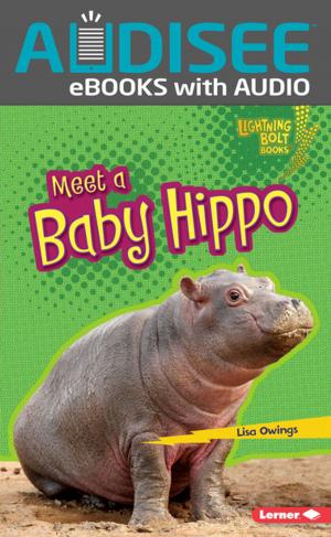 Cover of the book Meet a Baby Hippo by Sara E. Hoffmann