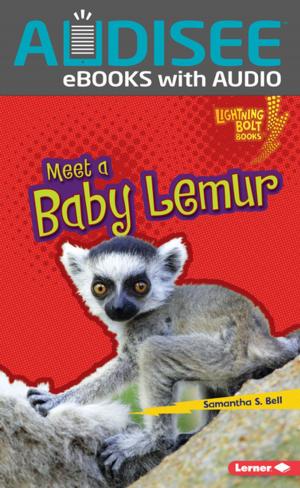 Book cover of Meet a Baby Lemur