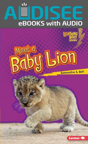 Cover of the book Meet a Baby Lion by M. E. Castle