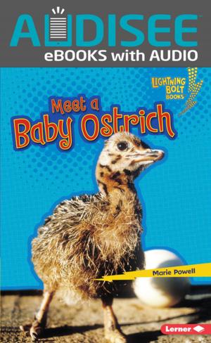Cover of the book Meet a Baby Ostrich by Matt Doeden