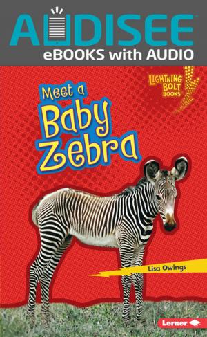 Cover of the book Meet a Baby Zebra by Lisa L. Owens