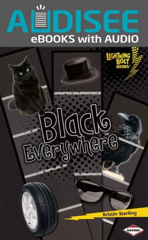 Cover of the book Black Everywhere by Stephanie Perry Moore