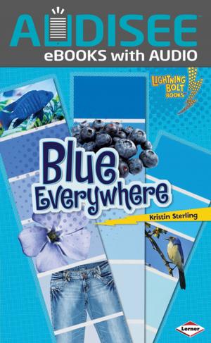 Book cover of Blue Everywhere