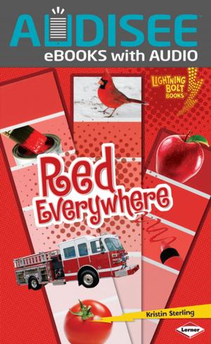 Cover of the book Red Everywhere by Martha E. H. Rustad