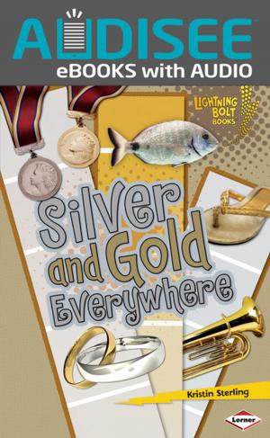 Cover of the book Silver and Gold Everywhere by Penny Warner