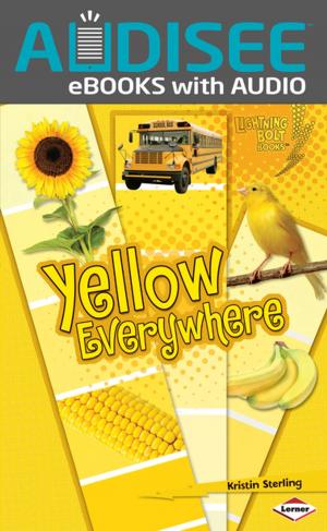 Cover of the book Yellow Everywhere by Megan Atwood