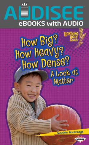 Cover of the book How Big? How Heavy? How Dense? by Robin Nelson