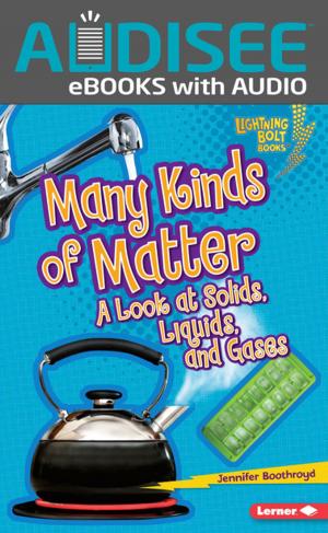 Cover of the book Many Kinds of Matter by Matthieu Delaporte, Romain van Liemt, Alexandre de la Patellière