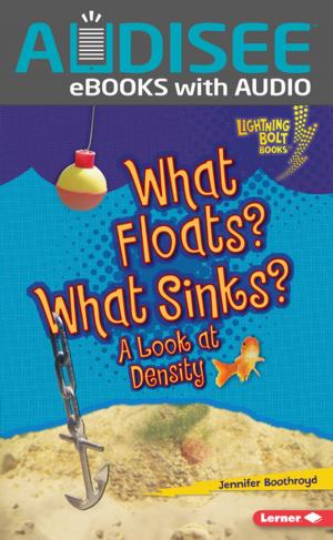 Cover of the book What Floats? What Sinks? by Buffy Silverman