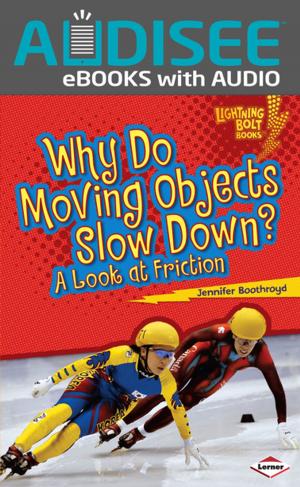 Cover of the book Why Do Moving Objects Slow Down? by Victoria G. Christensen