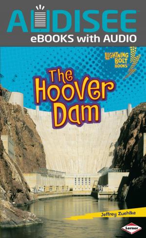 Cover of the book The Hoover Dam by Beth Bence Reinke