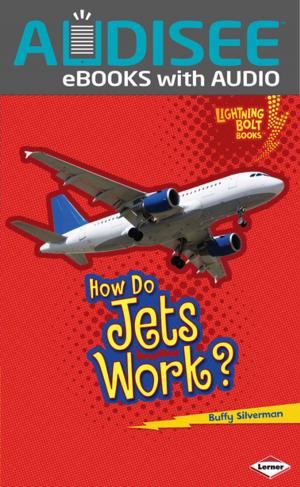 Cover of the book How Do Jets Work? by Brian P. Cleary